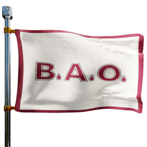 Bao Fuel LLC Heating Oil Prices Flag Photo of Bao Fuel LLC flag denoting best heating oil prices the company offers