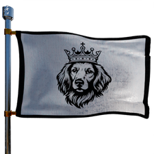 Tudor Energy LLC Heating Oil Prices Flag Photo of Tudor Energy LLC flag denoting best heating oil prices the company offers