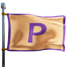 Pitstop Heating Oil Prices Flag Photo of Pitstop flag denoting best heating oil prices the company offers