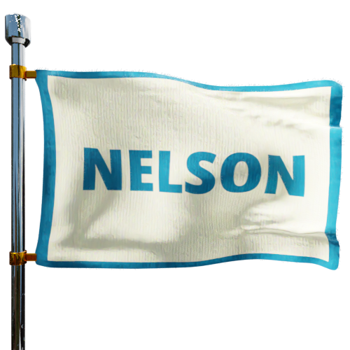 NELSON OIL CO INC cash heating oil price logo