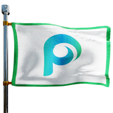 Palladino Heating Service Inc Heating Oil Prices Flag Photo of Palladino Heating Service Inc flag denoting best heating oil prices the company offers