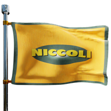 Niccoli Oil & Energy Heating Oil Prices Flag Photo of Niccoli Oil & Energy flag denoting best heating oil prices the company offers