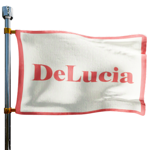 Delucia Fuel Oil Co LLC Heating Oil Prices Flag Photo of Delucia Fuel Oil Co LLC flag denoting best heating oil prices the company offers